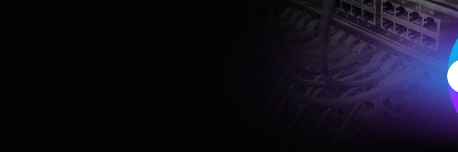 Banner of the Switch